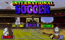International Soccer screenshot