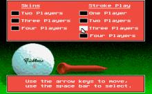 Jack Nicklaus' Unlimited Golf screenshot #2