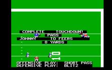 John Madden Football (a.k.a. John Madden American Football) screenshot #8