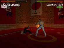 Karate Fighter screenshot #3