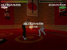 Karate Fighter screenshot #4