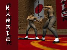 Karate Fighter screenshot #5