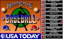 Micro League Baseball 4 screenshot #3