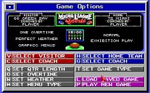 Micro League Football Deluxe Edition (a.k.a. Micro League Football: The Coach's Challenge) screenshot #3