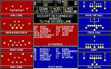 Micro League Football Deluxe Edition (a.k.a. Micro League Football: The Coach's Challenge) screenshot #9