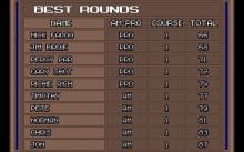 Nick Faldo's Championship Golf screenshot #2