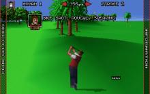 Nick Faldo's Championship Golf screenshot #9