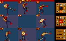 Panza Kick Boxing screenshot #4