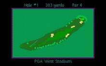 PGA Tour Golf screenshot #4