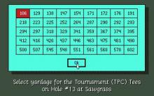 PGA Tour Golf screenshot #9