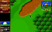 Sensible Golf screenshot #6