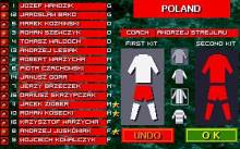 Sensible World of Soccer: European Championship Edition screenshot #5