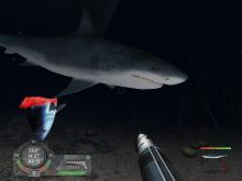 Shark! Hunting the Great White screenshot #10