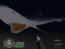 Shark! Hunting the Great White screenshot #12