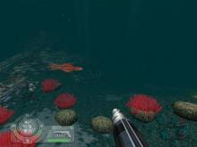 Shark! Hunting the Great White screenshot #9