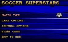 Soccer Superstar screenshot #2