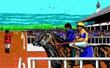 Sport of Kings (a.k.a. Omni-play Horse Racing) screenshot #6