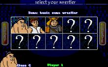 Super Sumo Wrestling 2002 screenshot #4