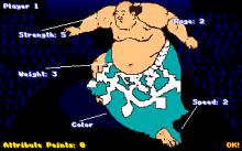 Super Sumo Wrestling 2002 screenshot #5