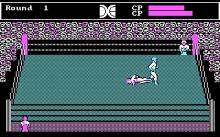 Tag Team Wrestling screenshot #2