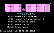 Tag Team Wrestling screenshot #3