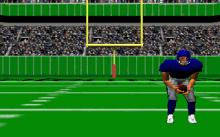 Touchdown Football screenshot #1