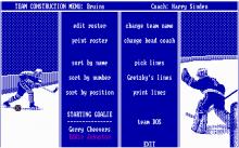 Wayne Gretzky Hockey screenshot #6