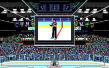 Wayne Gretzky Hockey 2 screenshot #8