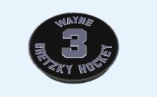 Wayne Gretzky Hockey 3 screenshot #1