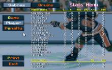 Wayne Gretzky Hockey 3 screenshot #7