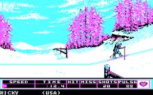 Winter Games screenshot #13