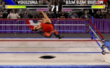 WWF Wrestlemania: The Arcade Game screenshot #10