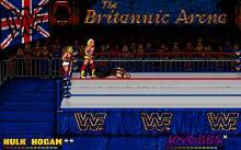 WWF: Wrestlemania screenshot #1