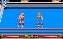 WWF: Wrestlemania screenshot #14