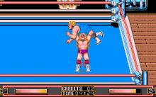 WWF: Wrestlemania screenshot #16