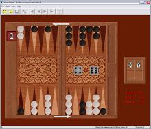 Backgammon Professional screenshot #5