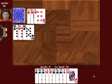 Card Player's Paradise screenshot #5