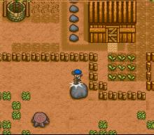 Harvest Moon screenshot #1