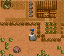 Harvest Moon screenshot