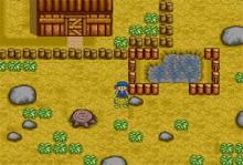 Harvest Moon screenshot #9