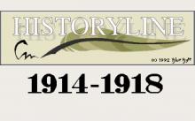 History Line: 1914-1918 (a.k.a. Great War: 1914-1918, The) screenshot #5