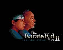 Karate Kid Part 2 screenshot