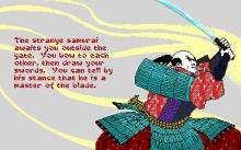Sword of the Samurai screenshot #2