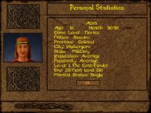 Vikings: The Strategy of Ultimate Conquest screenshot #8