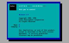 Lotus Agenda 2.0 screenshot #2
