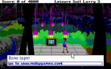 Leisure Suit Larry 3: Passionate Patti in Pursuit of the Pulsating Pectorals screenshot #14