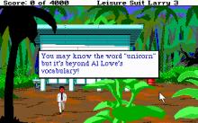 Leisure Suit Larry 3: Passionate Patti in Pursuit of the Pulsating Pectorals screenshot #15