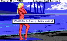 Leisure Suit Larry 3: Passionate Patti in Pursuit of the Pulsating Pectorals screenshot #7