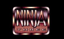 Last Ninja 3 screenshot #7