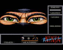 Last Ninja Remix screenshot #2